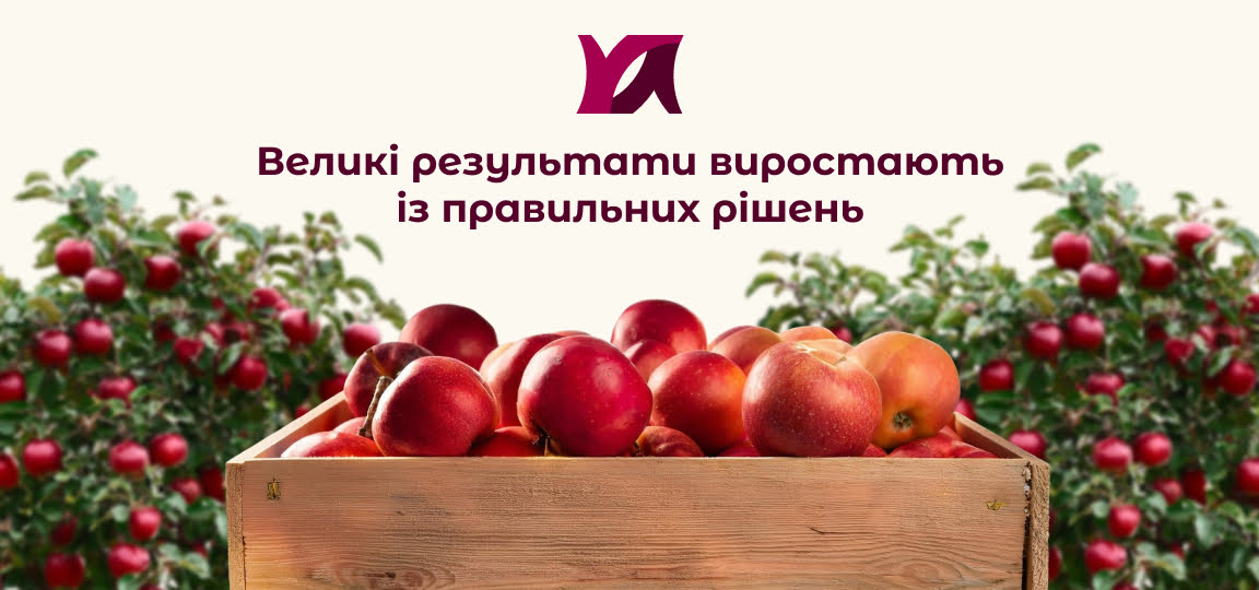 індивідуальна розробка сайтів