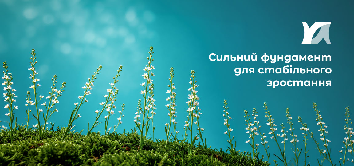 замовити створення сайту